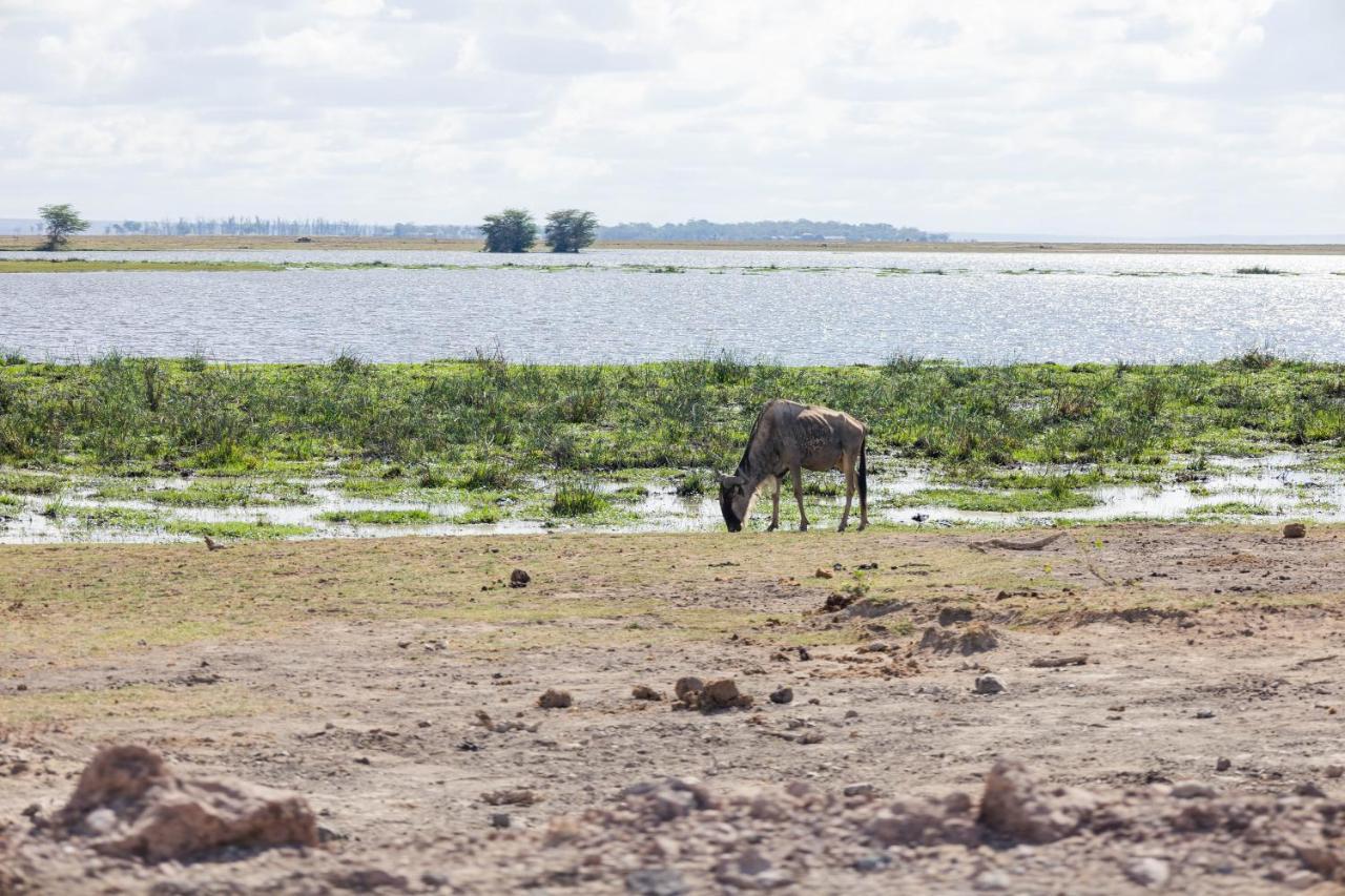 Wild Amboseli Ndovu Cottage. Екстер'єр фото