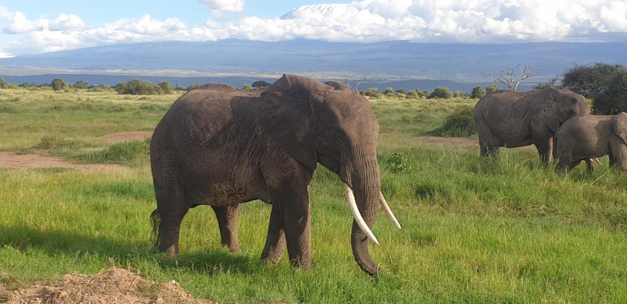 Wild Amboseli Ndovu Cottage. Екстер'єр фото
