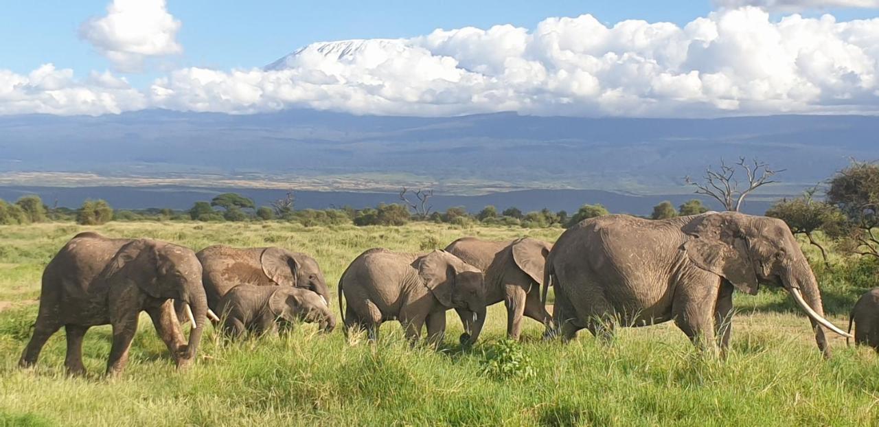 Wild Amboseli Ndovu Cottage. Екстер'єр фото
