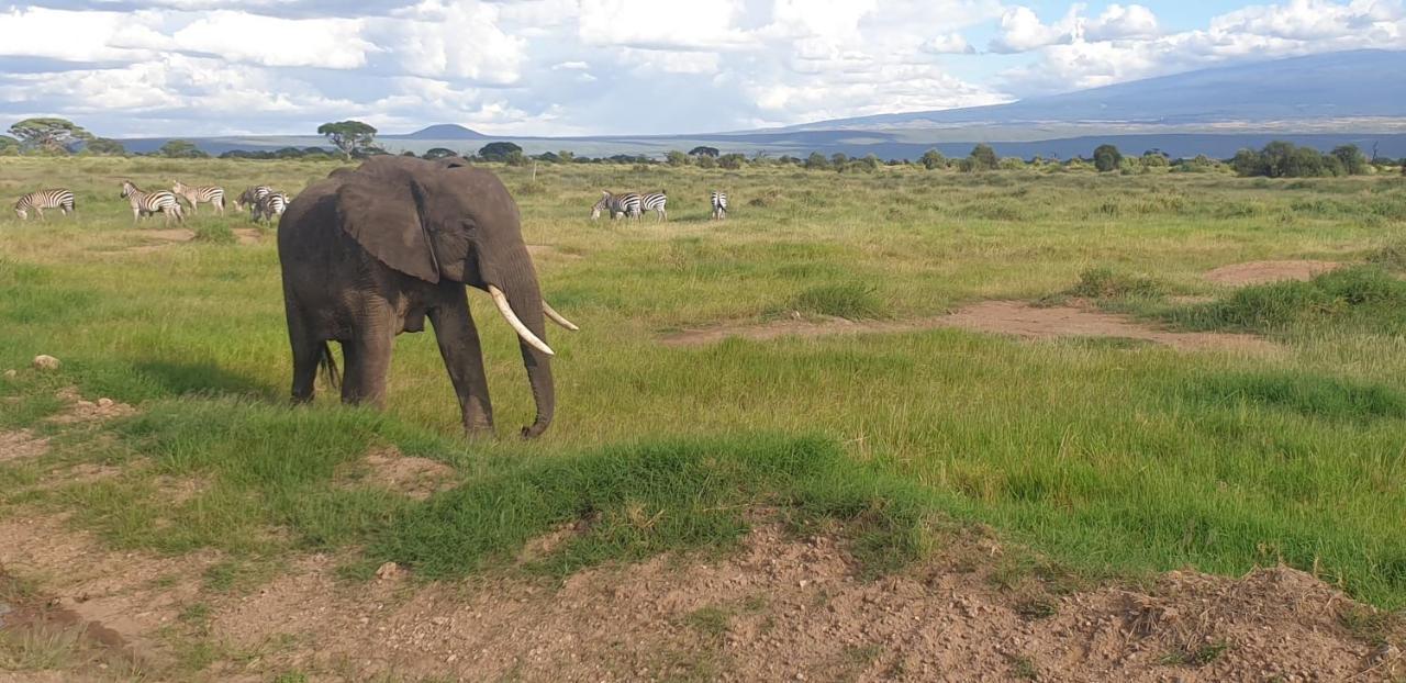Wild Amboseli Ndovu Cottage. Екстер'єр фото