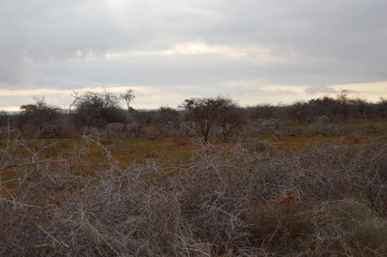 Wild Amboseli Ndovu Cottage. Екстер'єр фото