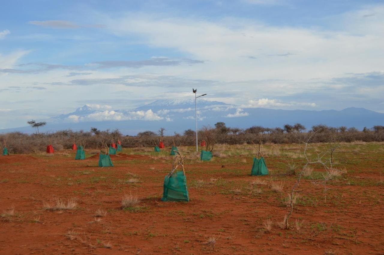 Wild Amboseli Ndovu Cottage. Екстер'єр фото