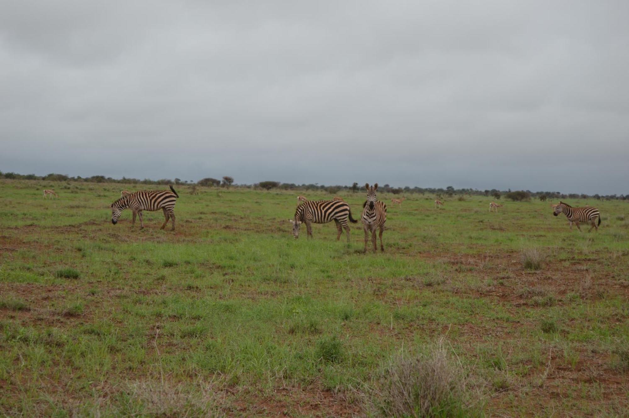 Wild Amboseli Ndovu Cottage. Екстер'єр фото